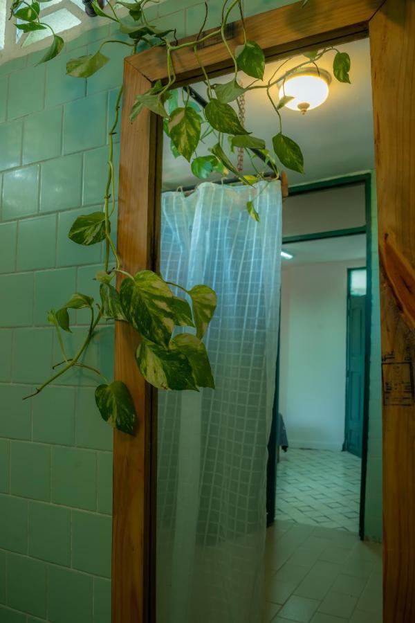 Apartmán La Casa Del Sombrero Santa Marta  Exteriér fotografie
